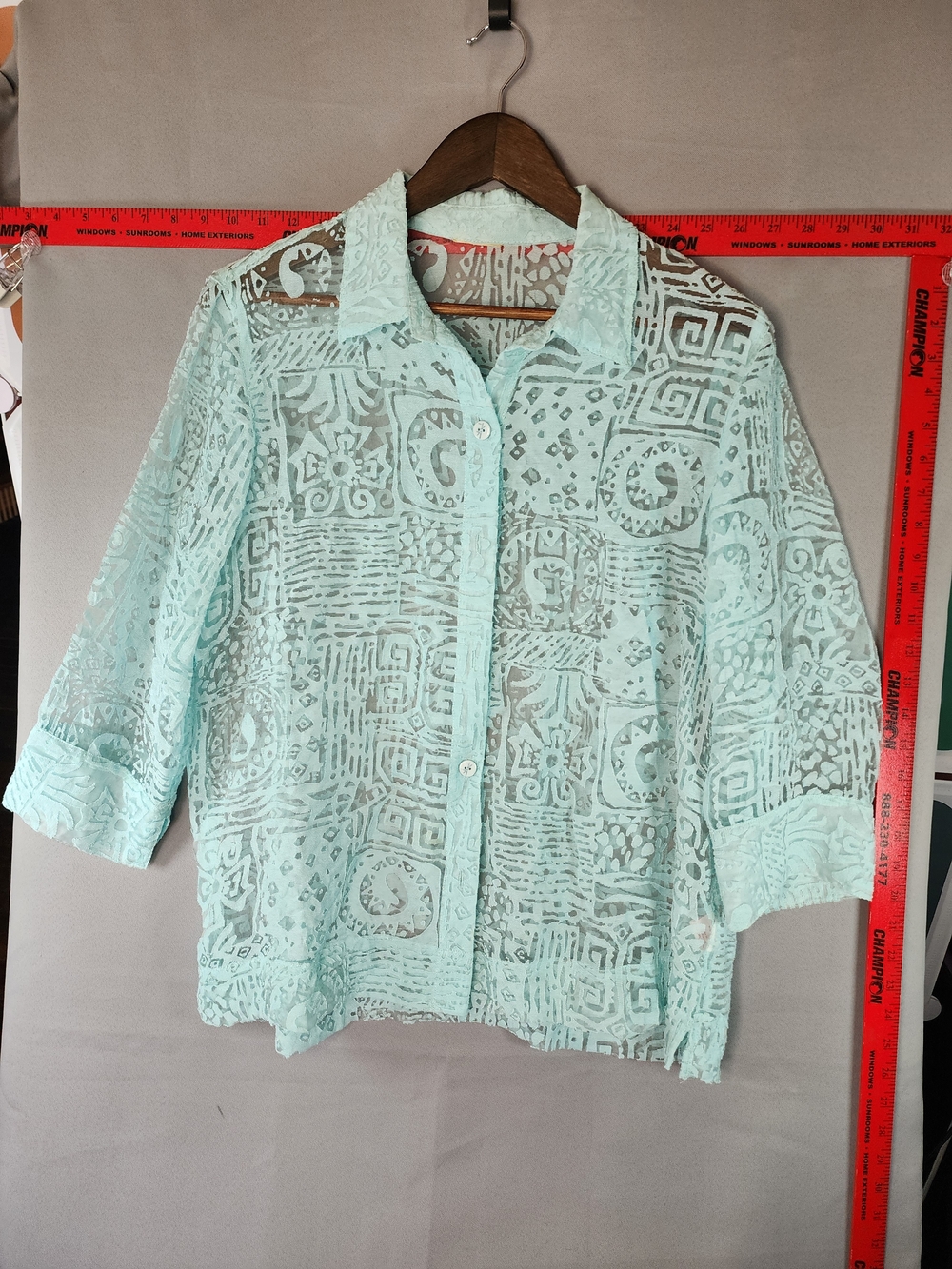 Ruby Rd. Mint Sheer Button-Down with Geometric Burnout
